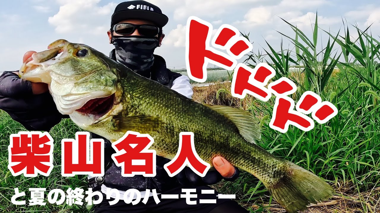 柴山名人のたいぞうさんと釣りジャンキーのファイアさんと柴山エリアの50アップを目指してみた！250話