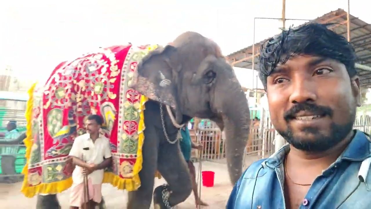 திருச்செந்தூரில் காலை வேலைகள்🥰