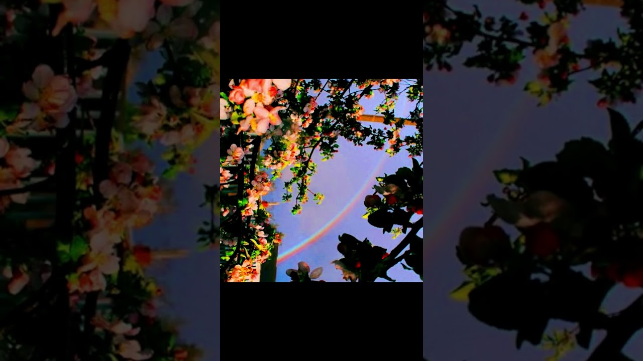 *FREE* Juice WRLD Type Beat 'Me Back' #keenolatypebeat #juicewrldtypebeat #nickmiratypebeat