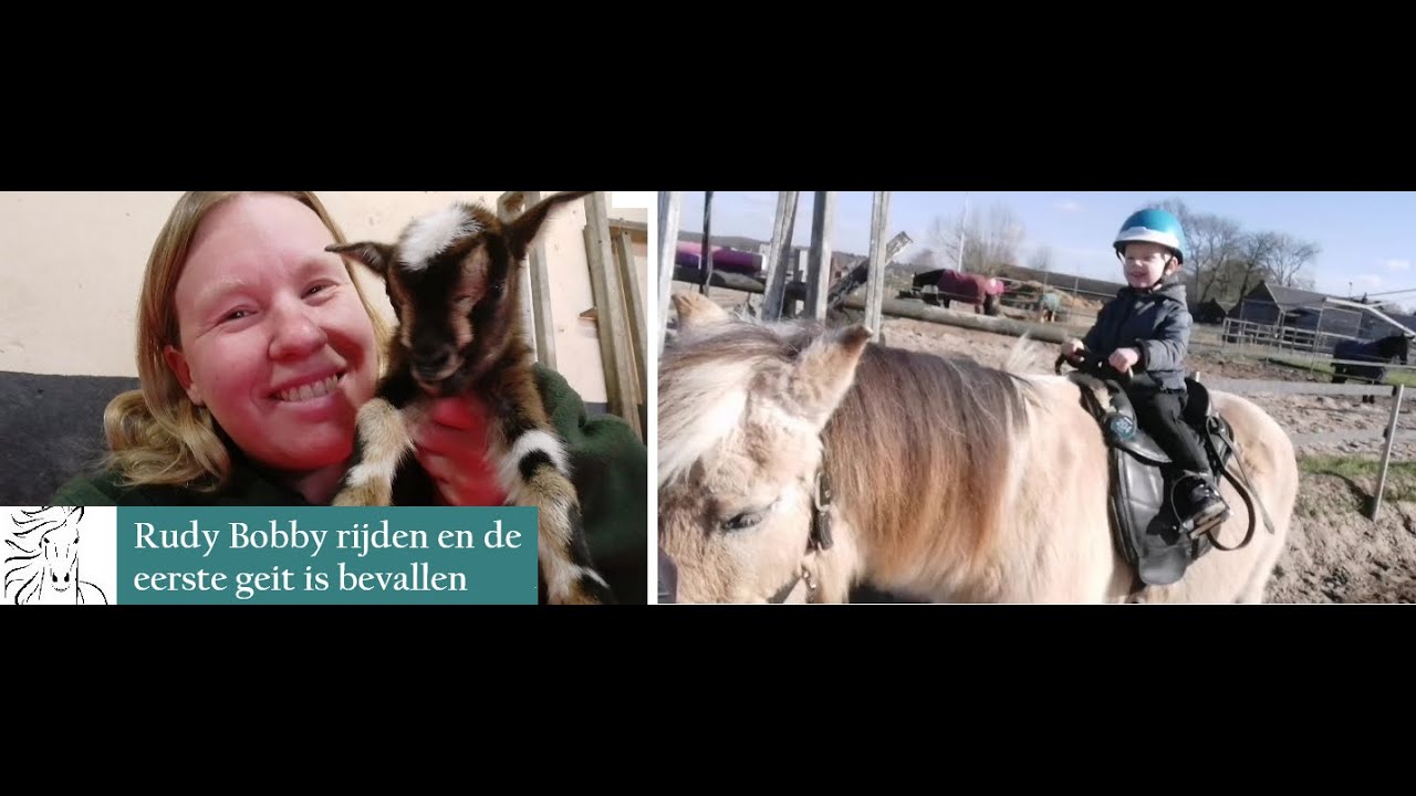 Rudy Bobby rijden en de eerste geit is bevallen#VLOG97