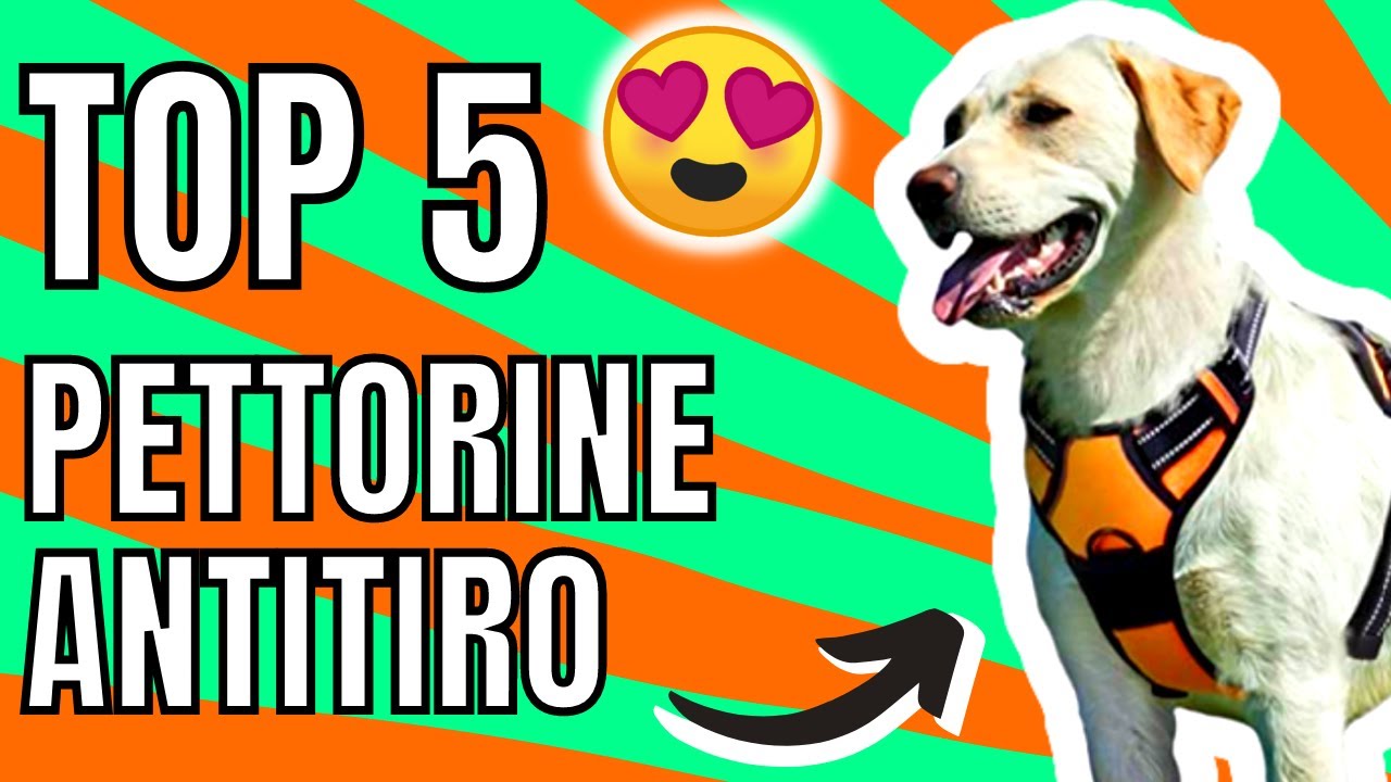 La Migliore Pettorina Antitiro per Cani? TOP 5