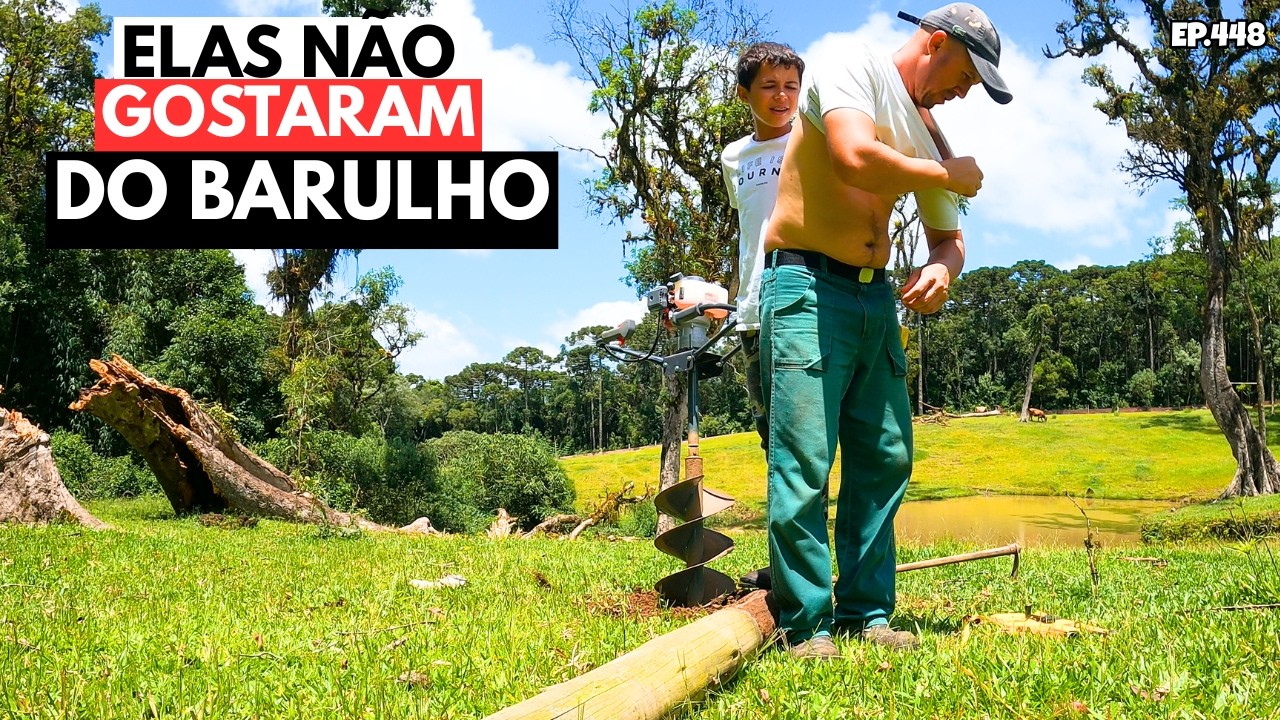 AS ABELHAS PULARAM NA GENTE, FAZENDO CERCA NOVA. EP448
