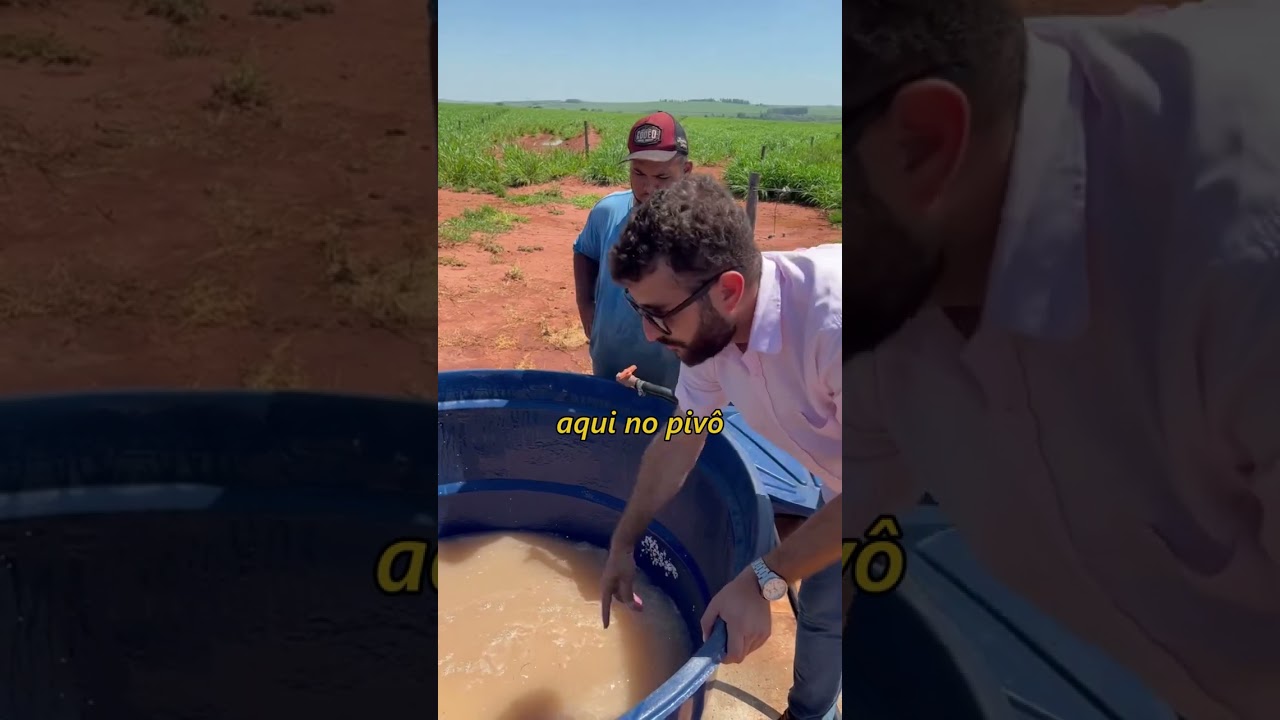 Fertirriga&ccedil;&atilde;o de pastagem.