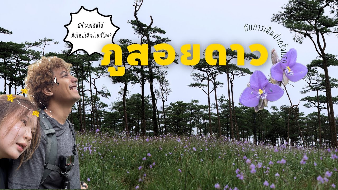 ภูสอยดาวกับการเดินป่าครั้งแรก⛰ | ชมดอกหงอนนาคที่มีแค่ช่วงหน้าฝนเท่านั้น | ทริป2วัน1คืน