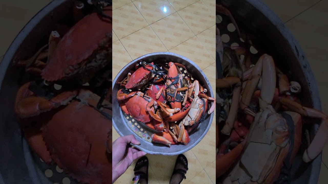 SEAFOOD IS LIFE | PHILIPPINES 