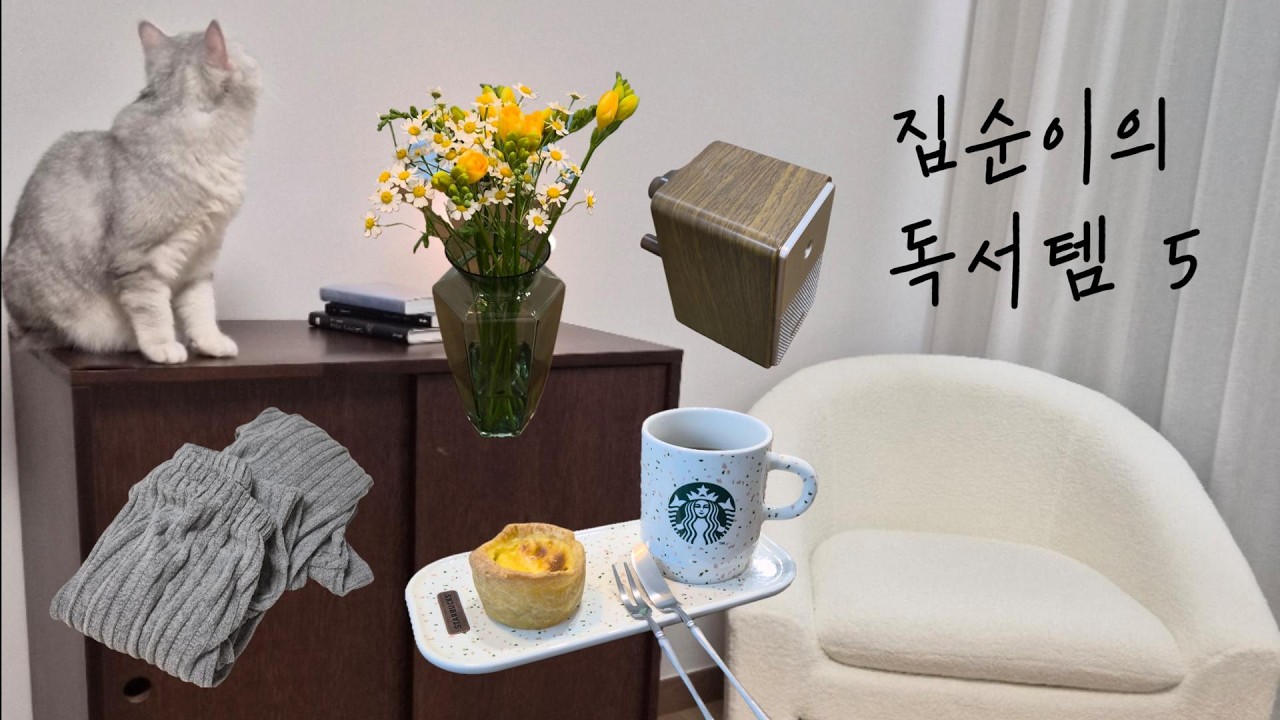 [📚Vlog] 독서는 핑계고 독서템 자랑하는 브이로그 | 애독가라고 했지 다독가라고는 안 했슨