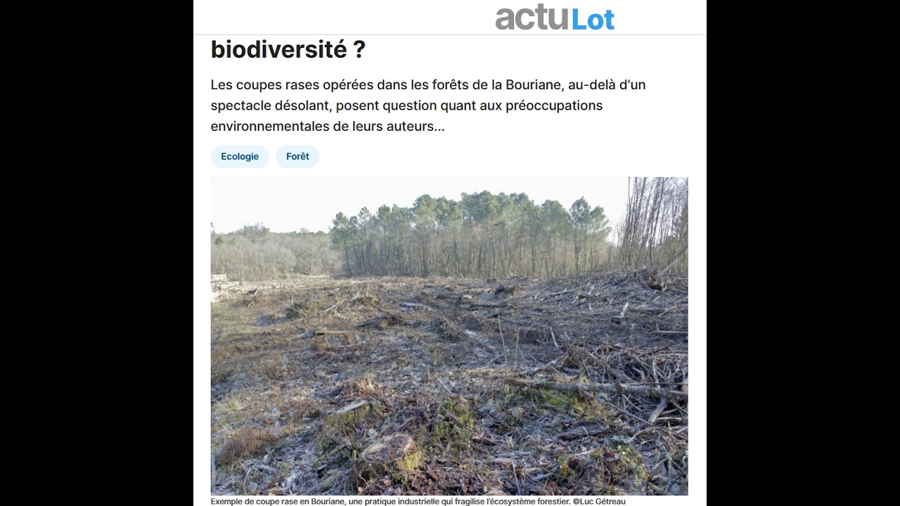 Tous les arbres