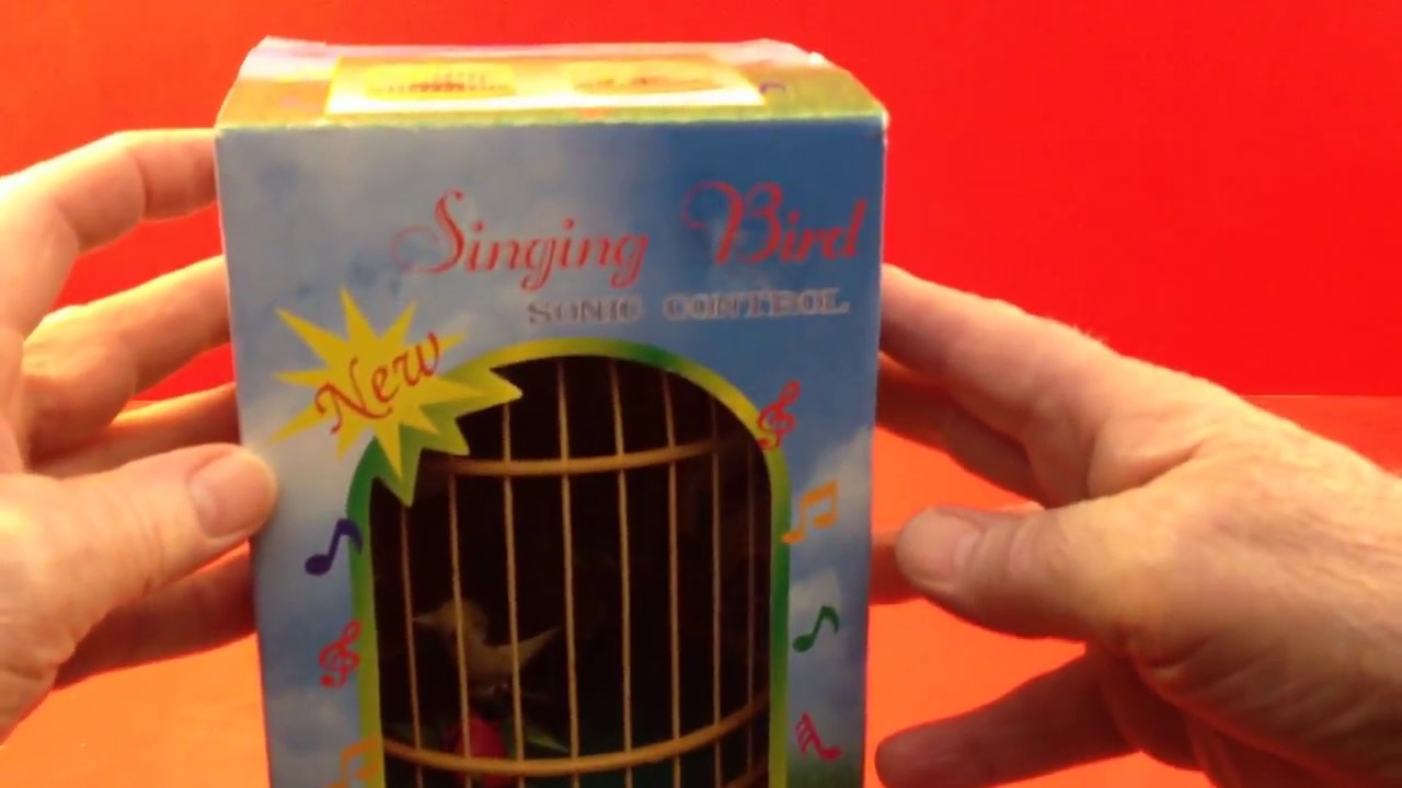 Singing Bird Toy with Bird Singing Sounds