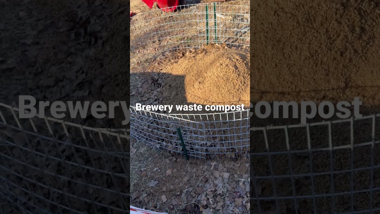Brewery waste compost #gardening #compost