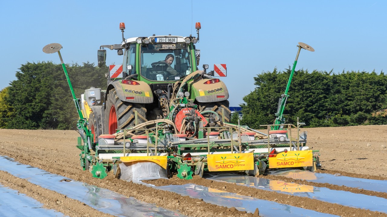 Mark Troy Agri Services - Setting Maize - 2 x Fendt 724 & Samco 7100 Drills - April 2025