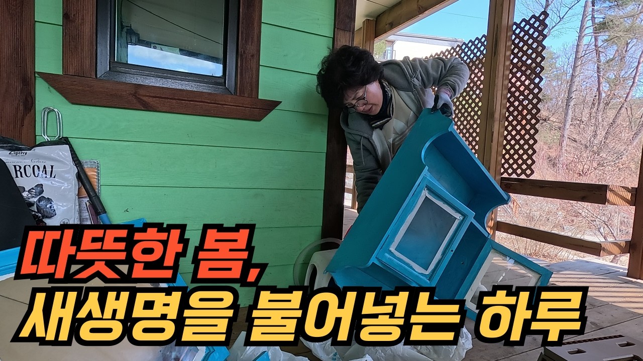 버리려던 가구의 놀라운 변신! 집 앞 나무들까지 시원하게 청소했습니다. 가구 살리는 갓생 일상.