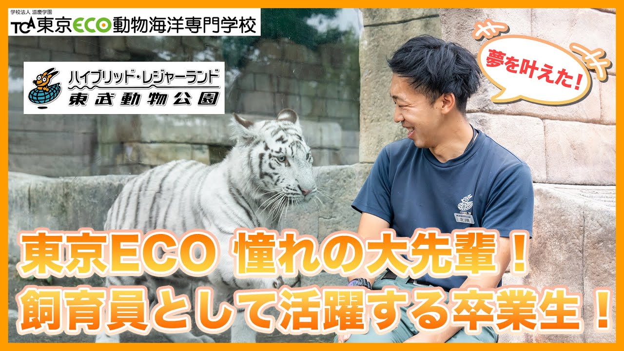 【東京ECO】東武動物公園で飼育員、パフォーマーとして活躍する卒業生にインタビュー！【TCA東京ECO動物海洋専門学校】