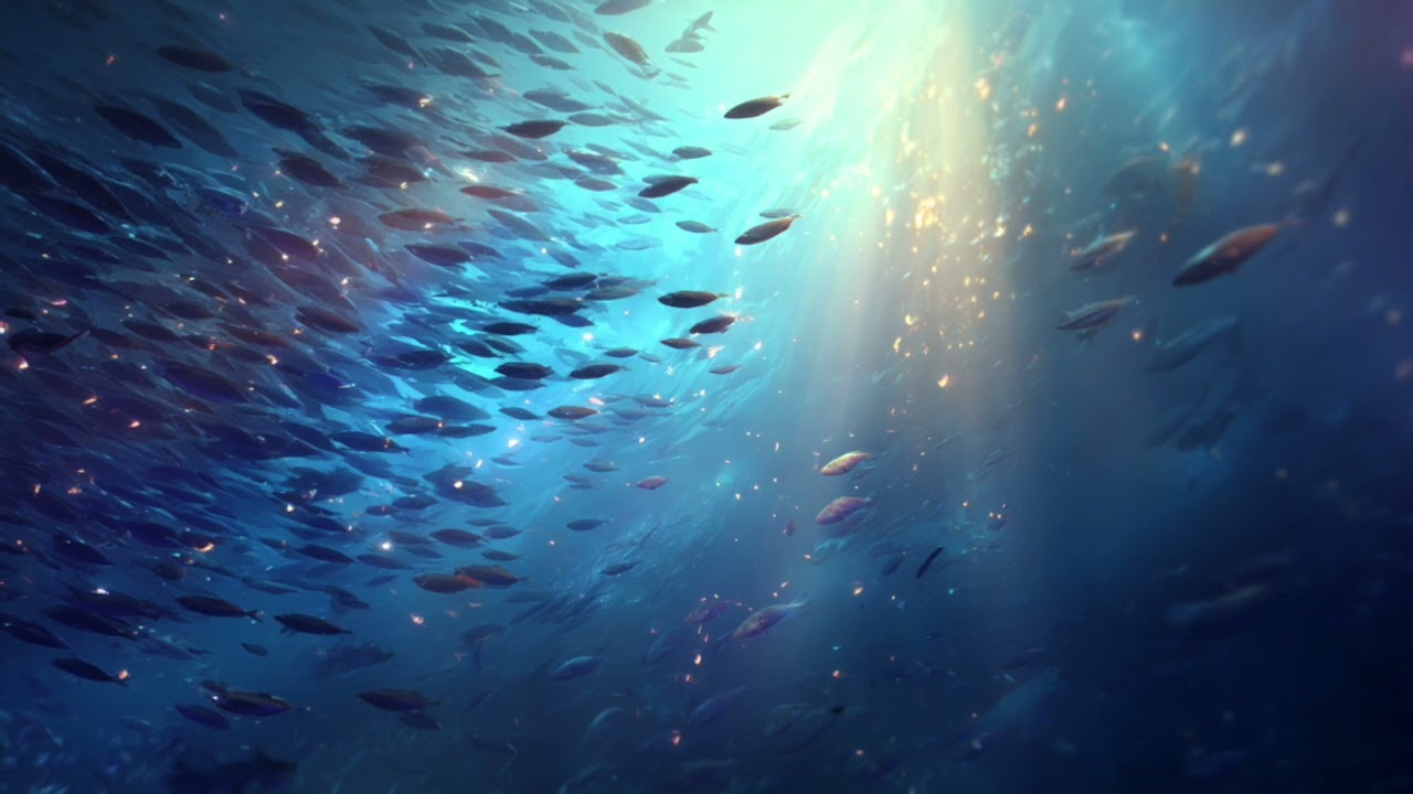 Beneath the Vast Blue