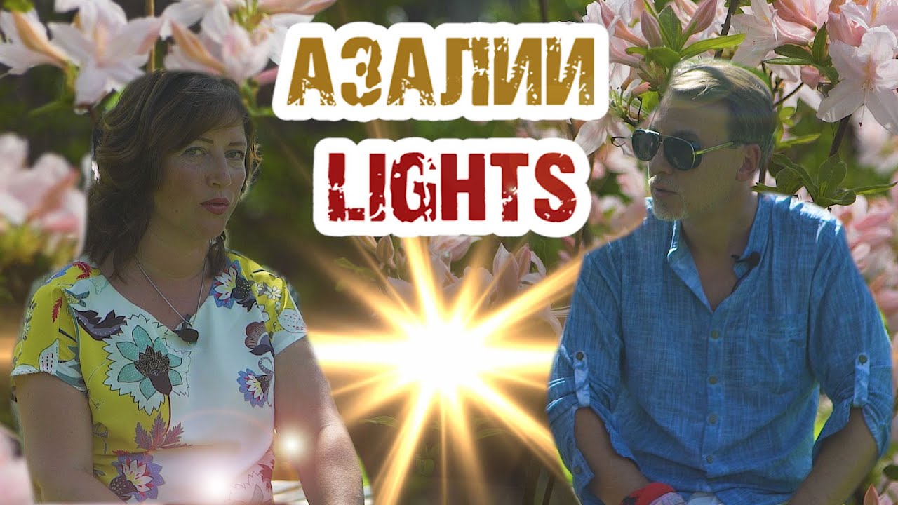 10 лучших листопадных рододендронов для северных регионов