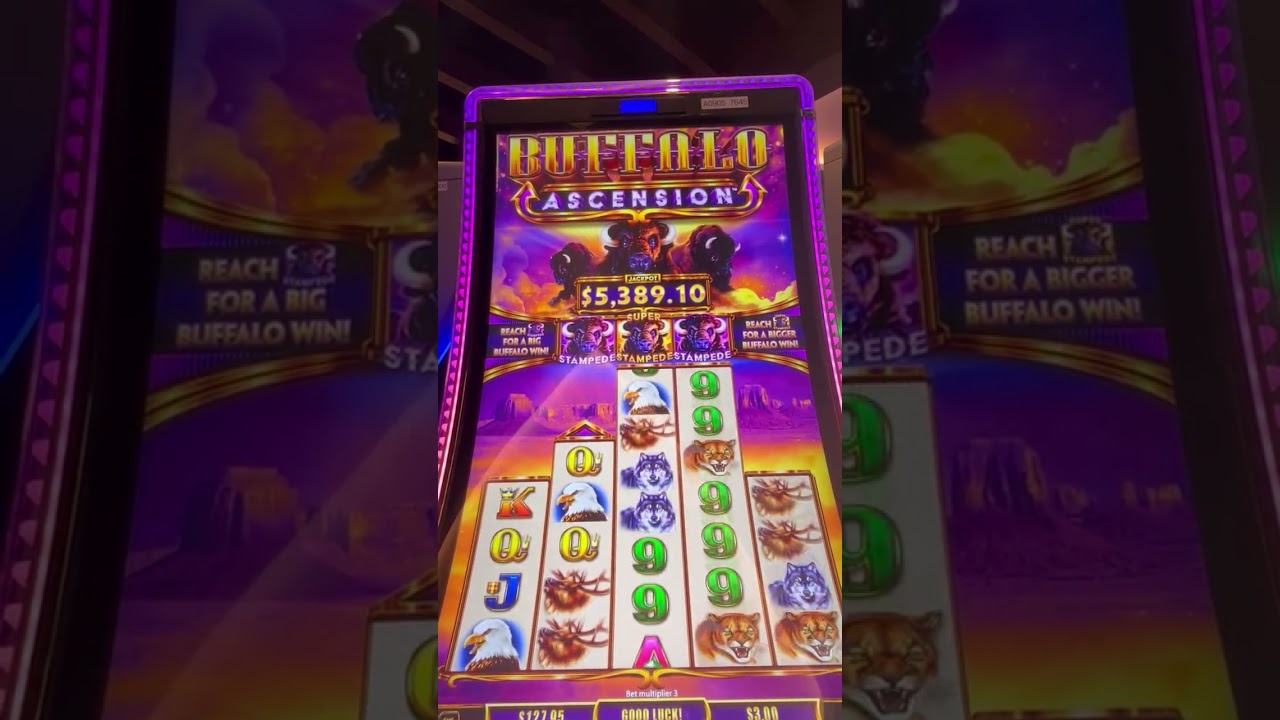 Buffalo Ascension game played
