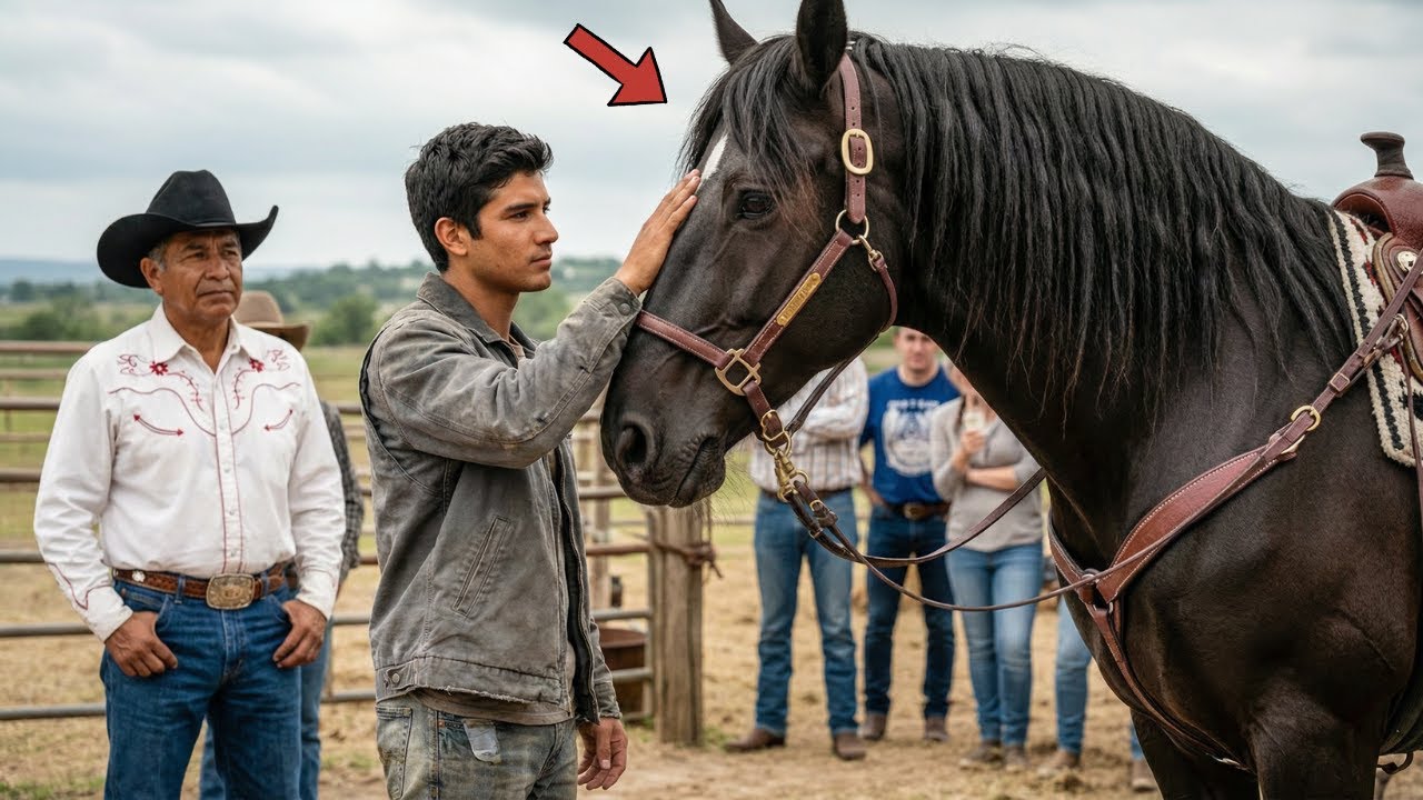 Toca a este caballo y te doy mi rancho”, se burló el dueño — hasta que el niño lo sorprendió
