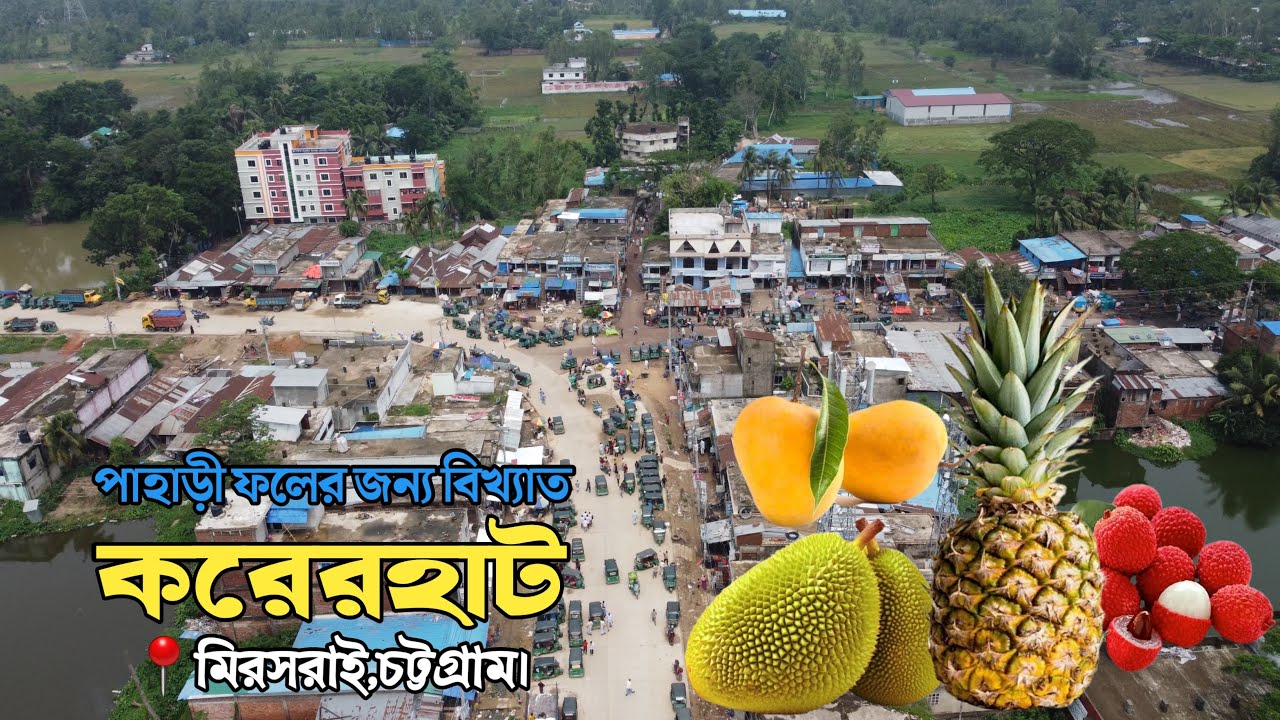 পাহাড়ী ফলের জন্য বিখ্যাত মিরসরাইয়ের ঐতিহ্যবাহী করেরহাট।📍মিরসরাই,চট্টগ্রাম।