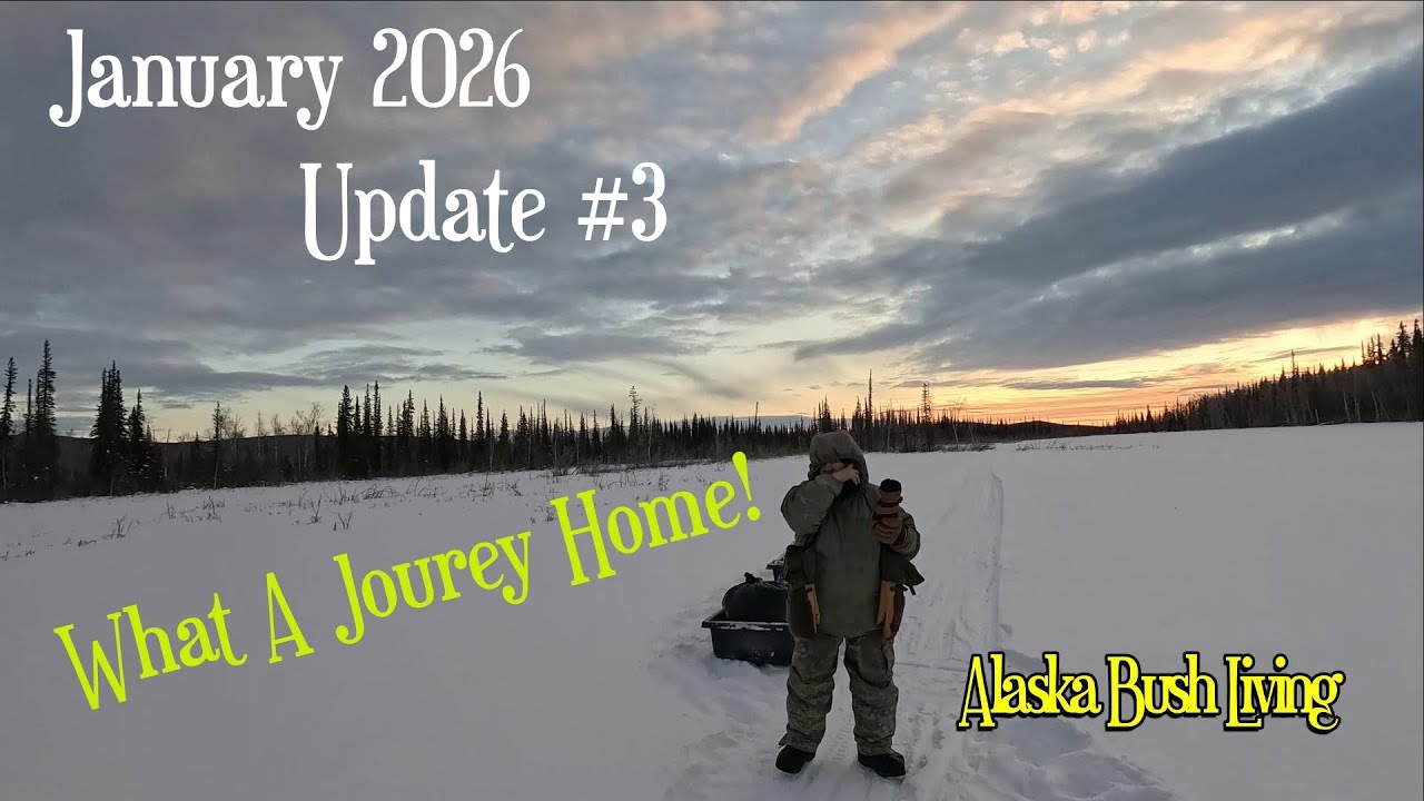 Alaska Bush Living - Things are popping as winter conditions pound away at us