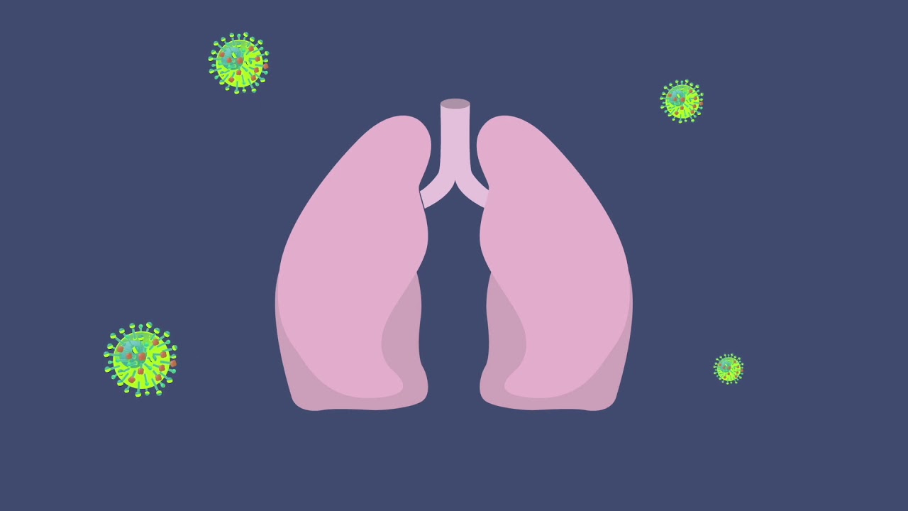 ¿Qué es la influenza?