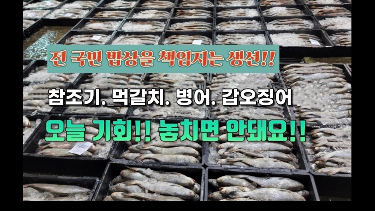 2월25일(수) 목포수협 위판장 경매현황 및 매입생선‼️