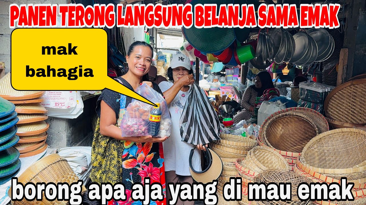 PANEN TERONG DAN LANGSUNG BELANJA BANYAK BUAT ORANG KERJA ‼️