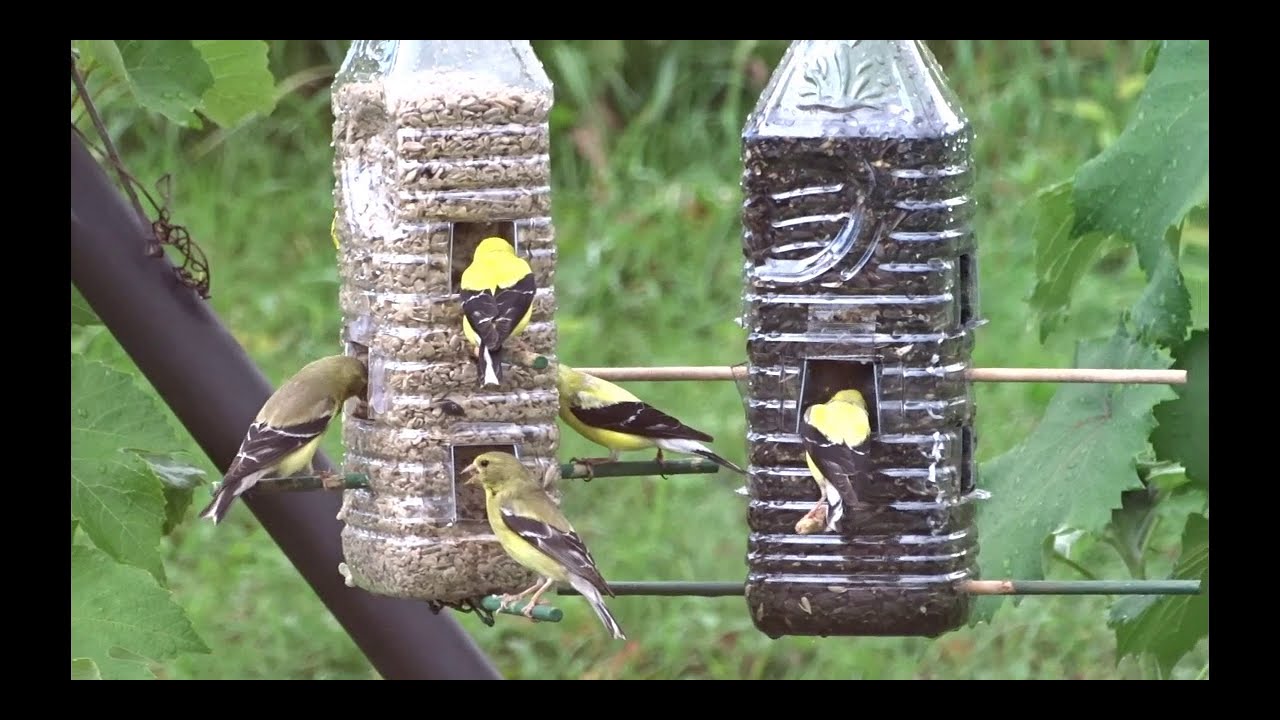 Faire une mangeoire d'oiseaux simple sans colle, sur ma chaîne beaucoup de playlists à visiter