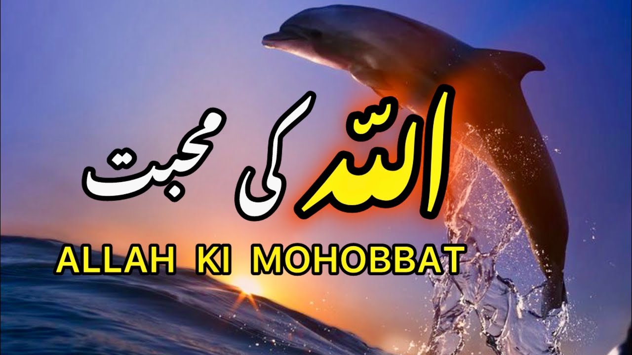 ALLAH KI MOHOBBAT || SPIRITUAL QUOTES COLLECTION ||@Samsdiaryquotes