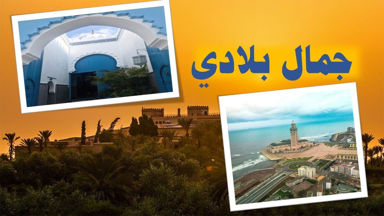 النص القرائي جمال بلادي