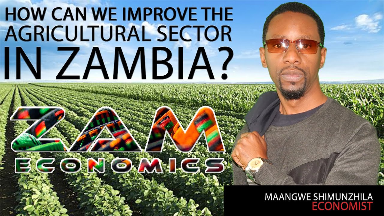 AGRICULTURE IN ZAMBIA - HOW CAN WE IMPROVE THIS SECTOR?
