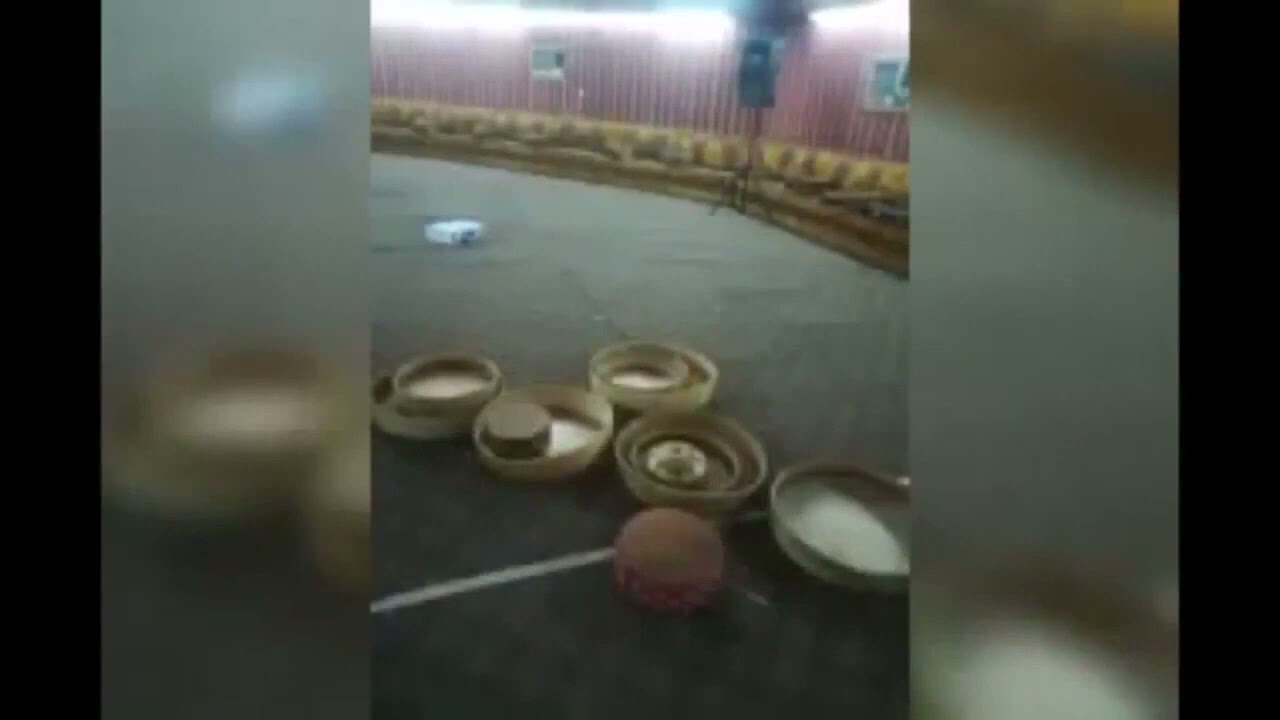 قادري يمن يمن يماني 