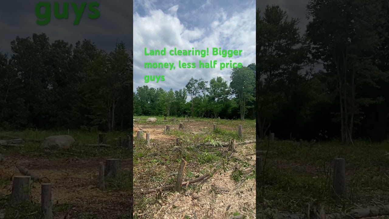 Huge Profits In Land Clearing, Yard Grading, Stump Removals and So Much More #firewood #excavator