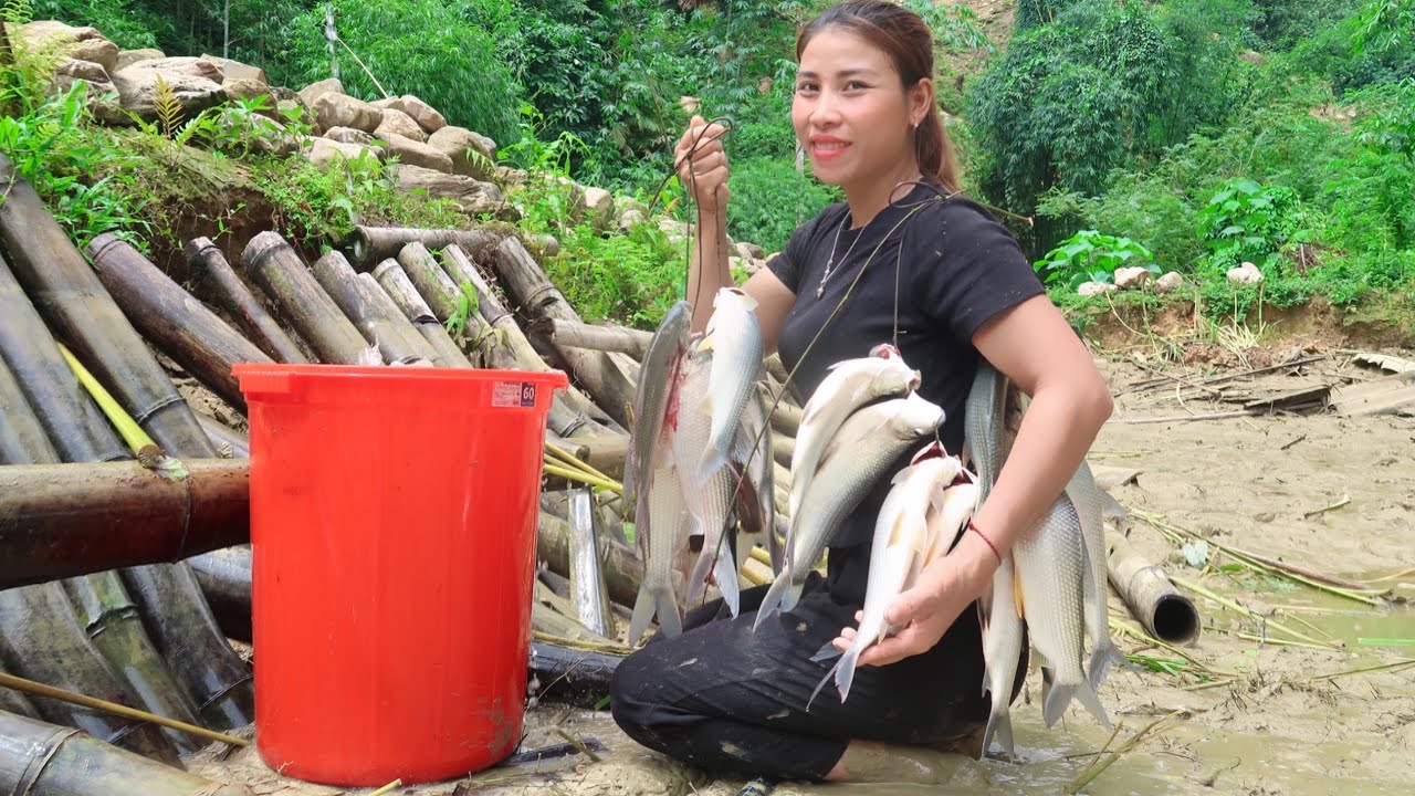 Harvesting Fish Ponds, Selling Fish, Improving Ponds, Farm Life. Triệu Lily