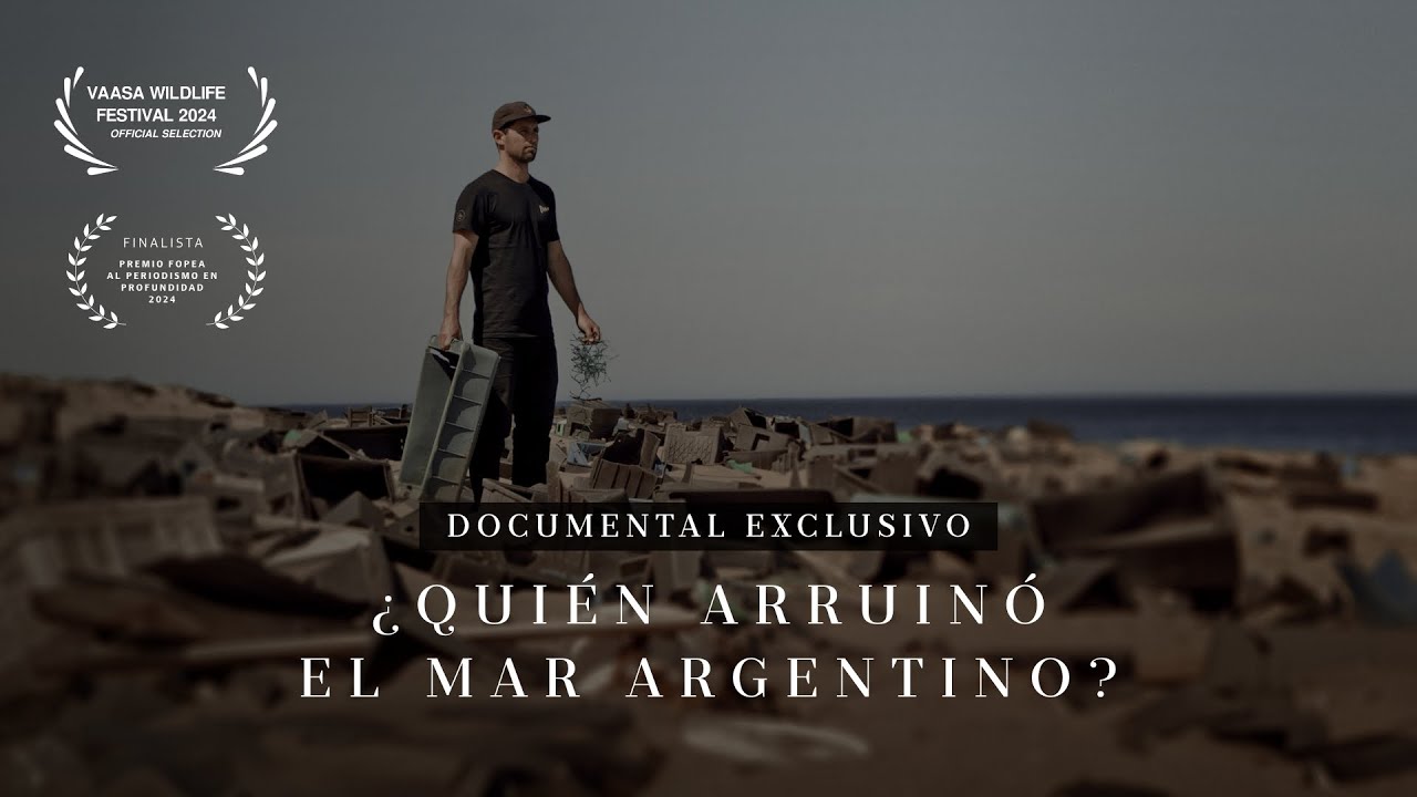 ¿Quién arruinó el mar argentino? Un road trip patagónico tras la contaminación en el mar argentino