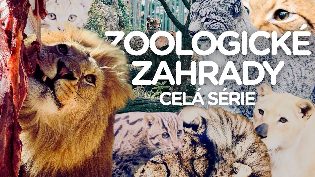 Zoologické zahrady (celá dokumentární série / 2025)