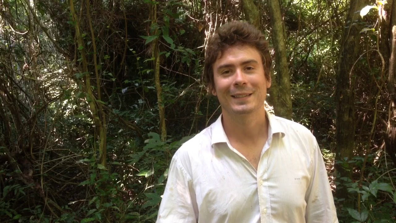 Din&acirc;mica natural de um agroecossistema