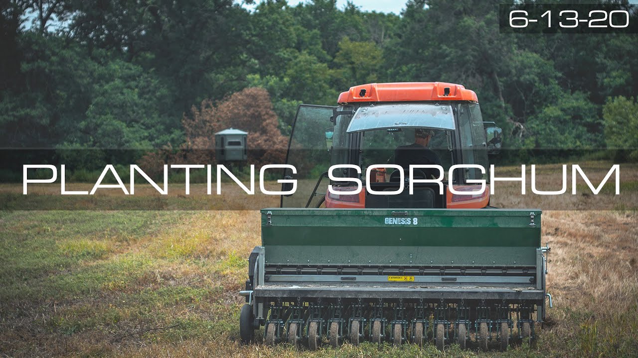 Winke's Blog: Planting Sorghum