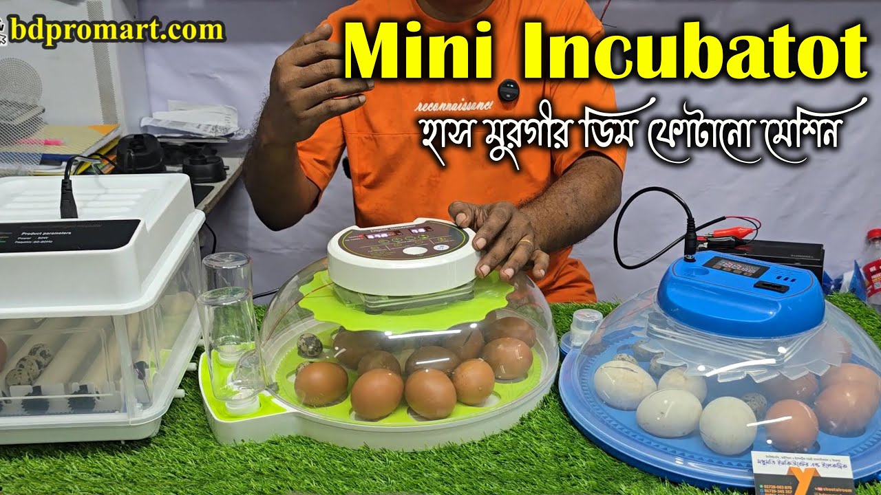 ছোট অটোমেটিক ইনকিউবেটর || Mini Auto Egg Incubator Price || মুরগীর ডিম ফোটানো মেশিন