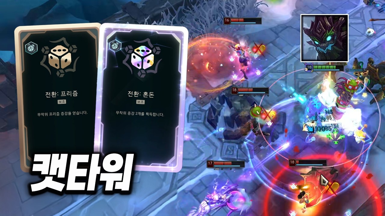 [칼바람 아수라장] 유미가 좋아하는 단백질 음료 캣타워 마오카이