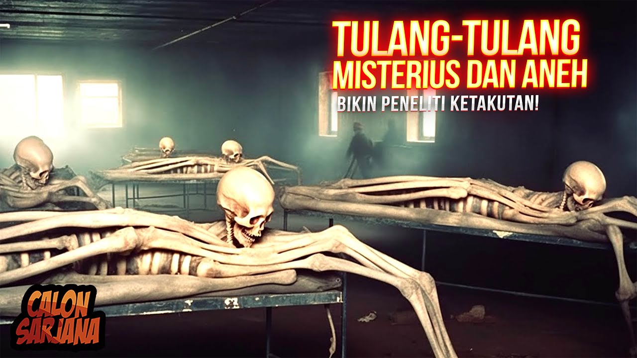 DUNIA LAGI GEMPAR! Beberapa Penemuan Arkeologi yang Bakal Ubah Buku Sejarah Selamanya 🏛️❌