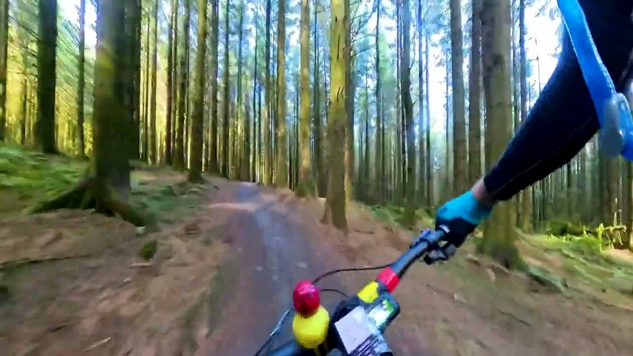 Bike Park Wales (BPW) Popty Ping in to Terrys Belly