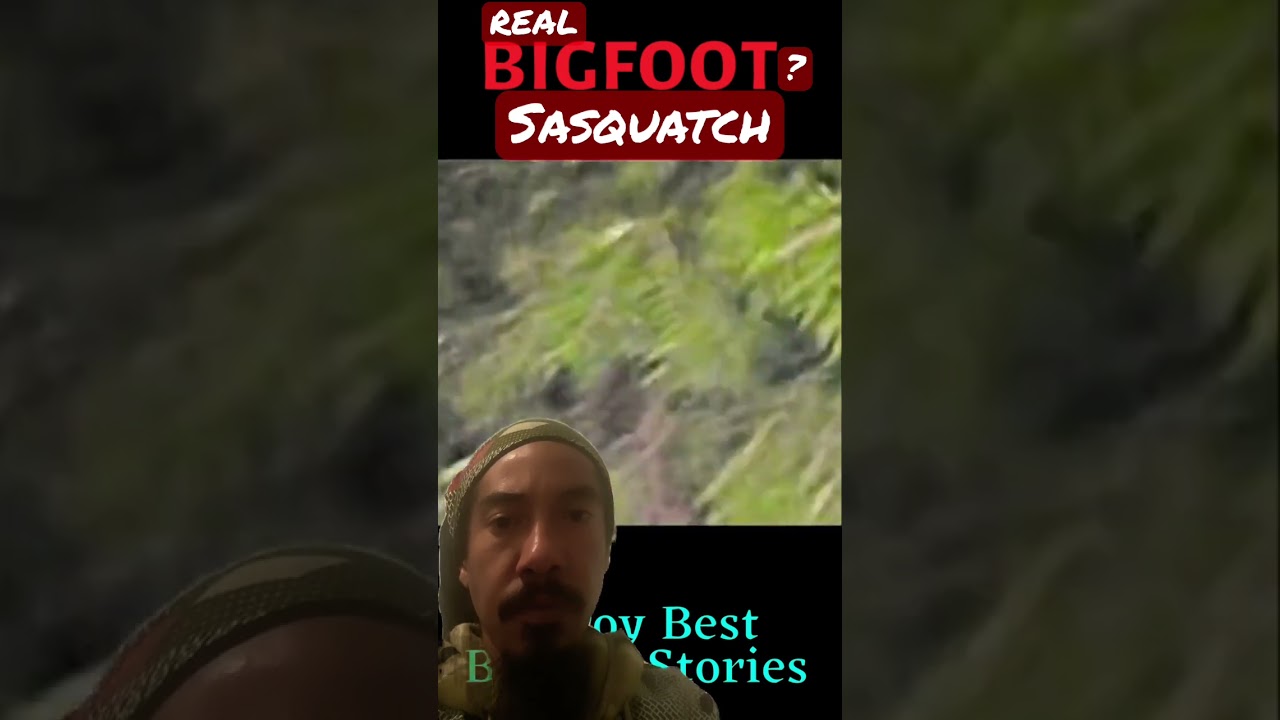 Road Crossing Bigfoot #bigfoot #cryptids #paranormal #youtubeshorts #fyp