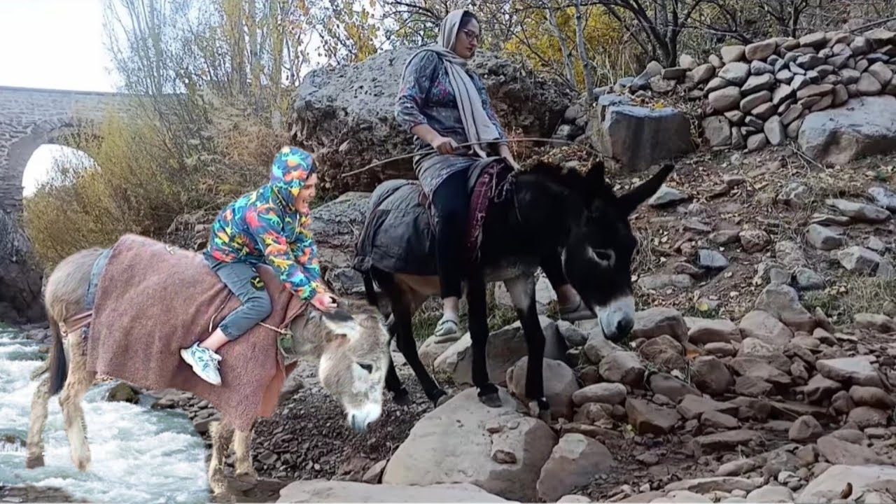 This Brave Boy and His Donkey Fear No Mountain! | Real Village Life