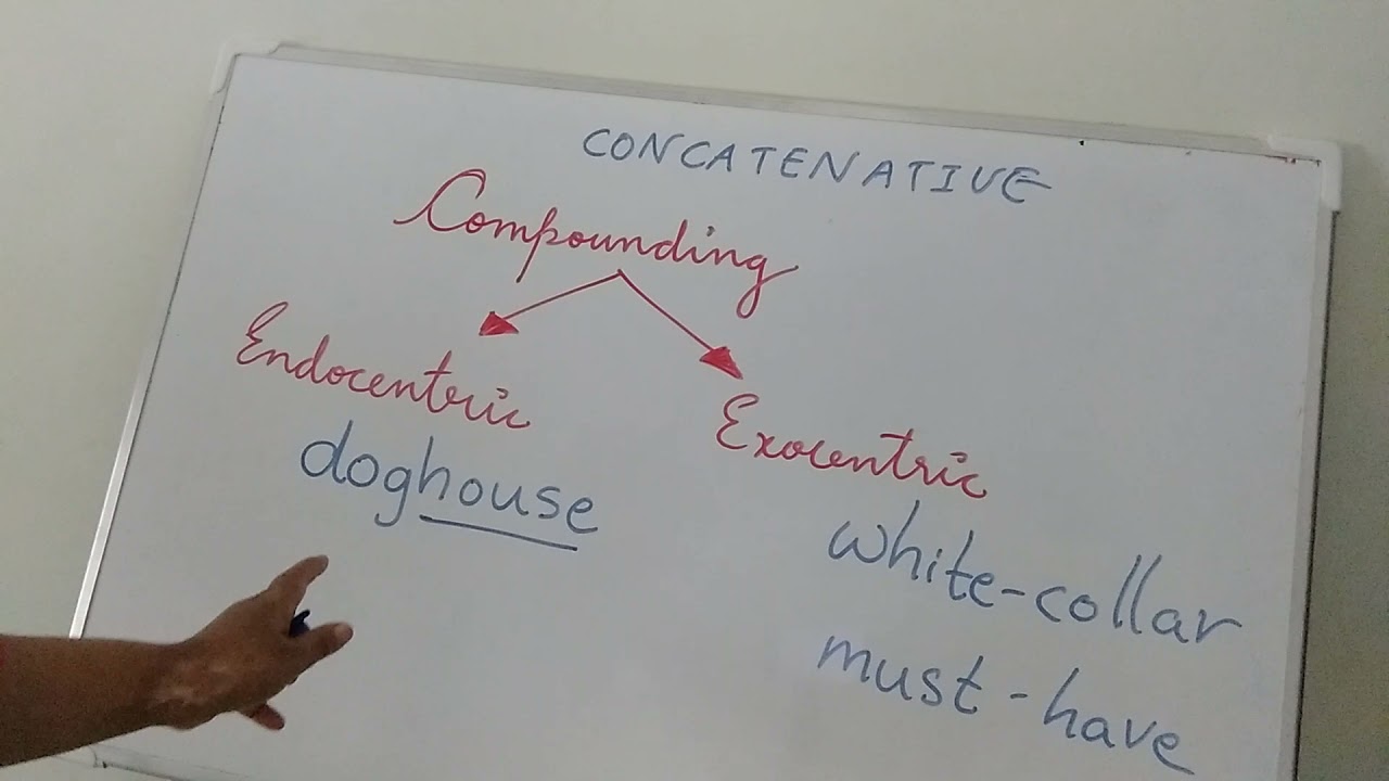 endocentric and Exocentric compounding