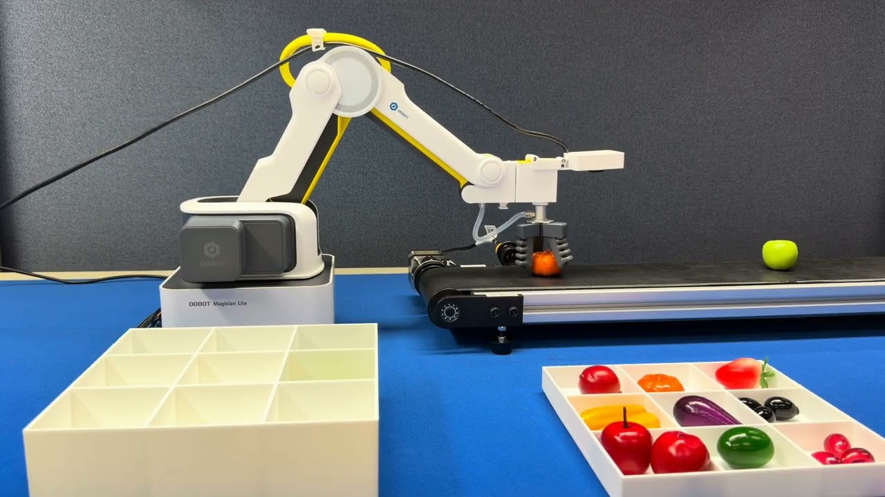 Conveyor Belt Fruit Sorting (Voice Feedback) | YOLO on Hailo-8 + Robotic Arm on Raspberry Pi 5