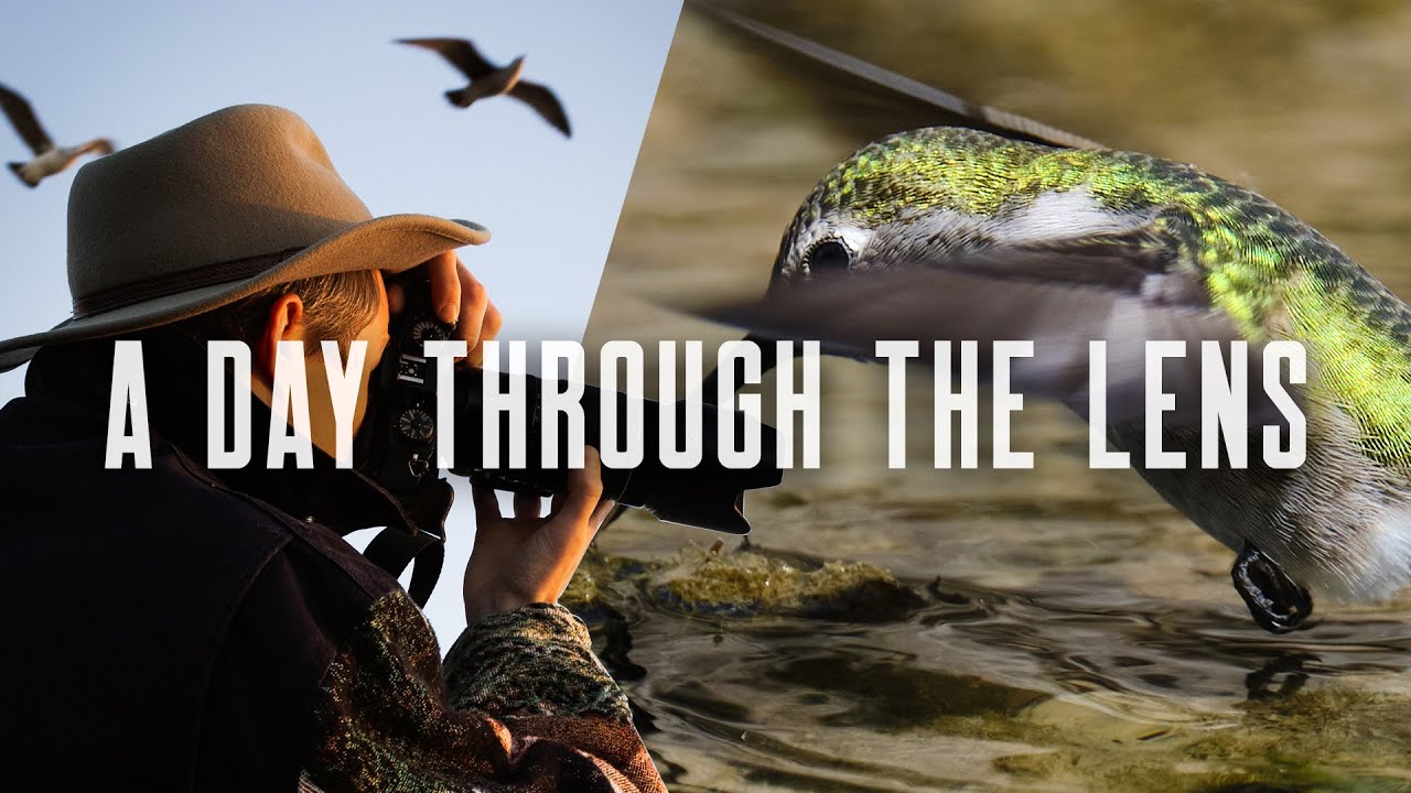 Exploring California Through my Lens | Wildlife Photography Vlog