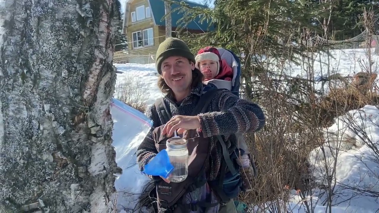 Making Birch Syrup on our off-grid Alaskan Homestead