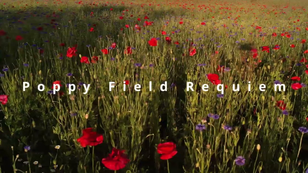 Poppy Field Requiem