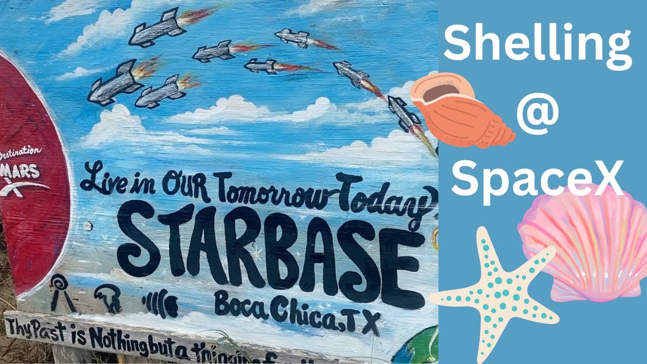 Shelling at Boca Chica Beach & SPACEX