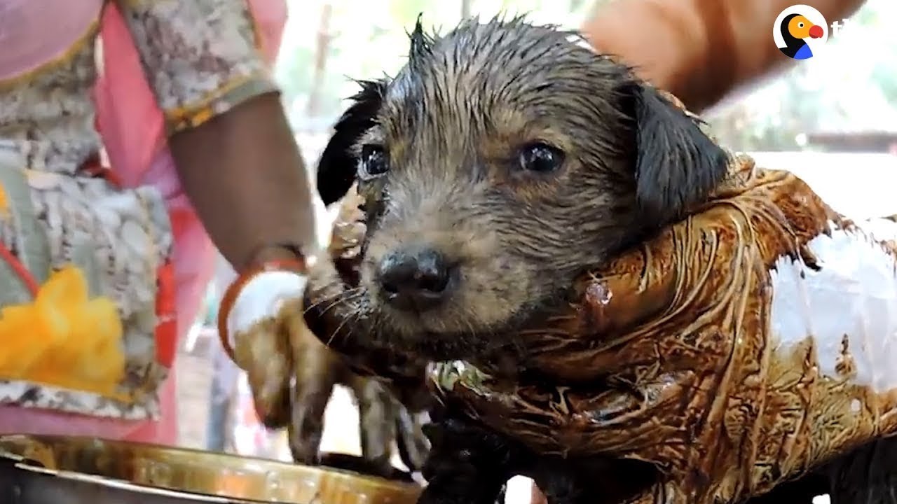 Kind and touching actions: people save wild animals in trouble People help animals