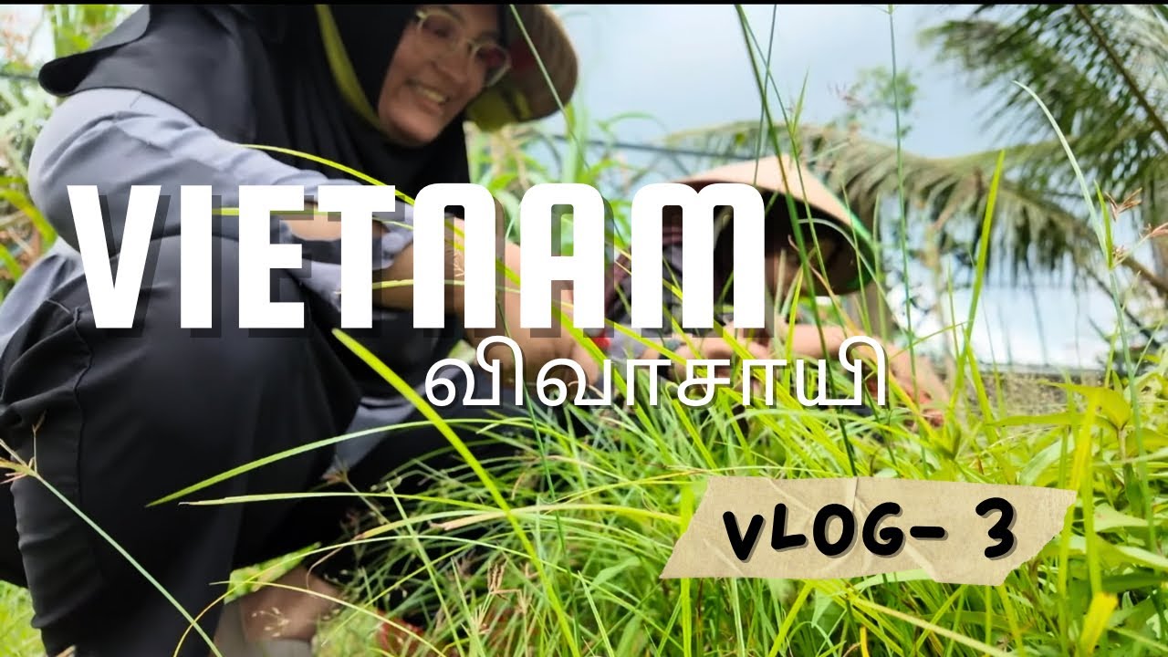 Travel Vlog - Ho Chin Min - Vlog 3  - Vietnam-ல் 1 Day விவாசாயி ( Tamil Vlog ) 